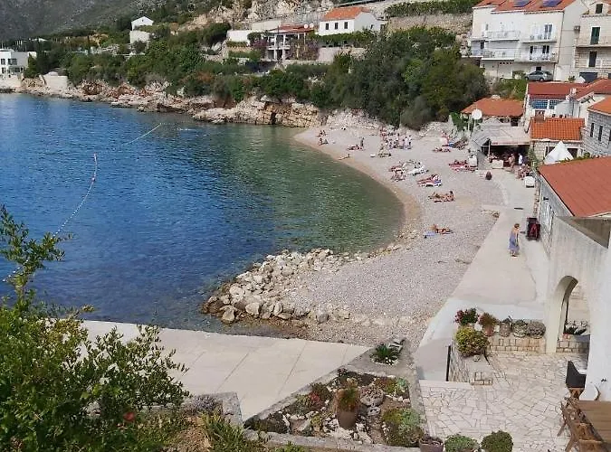 Sea Vision * دوبروفينك